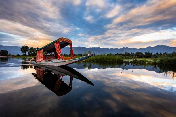 Shikara Rides